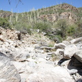 Tucson-Esperero Trail 02